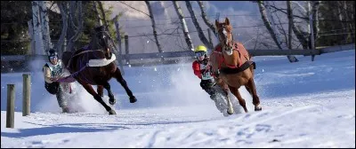 Quelle est cette discipline sportive alliant le ski et l'attelage ?