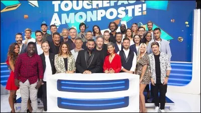 Qui n'est pas un chroniqueur de l'émission "Touche pas à mon poste ! " ?