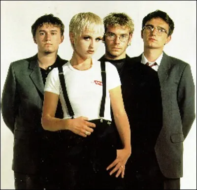 ''I Can't Be With You'' chantaient les Cranberries. Comment peut-on traduire le nom de ce groupe ?