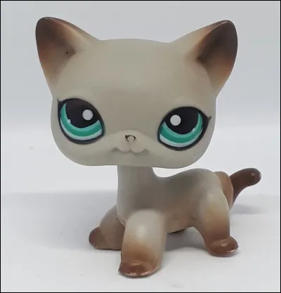 Ce chat Petshop est...