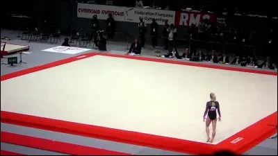 Si tu fais de la gymnastique au sol, tu fais...