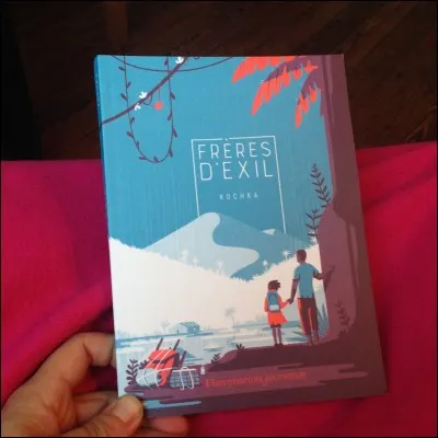 "Frère d'âme" est un roman signé...