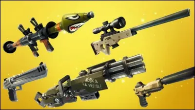 Combien de fusils d'assaut existent actuellement ? (6.12.2018)