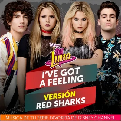 Quelle est la nouvelle équipe qui va s'entraîner au roller ?