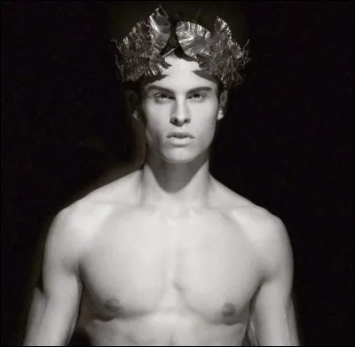 Dieu de la beauté, des arts. Qui est-il ?