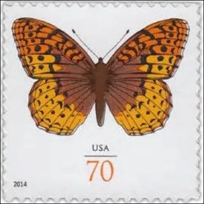 Ce bel animal, de belle couleur et à la jolie voix, est plus curieusement associé, par le simple fait des choses, à une marque de skis. Il s'agit... ?