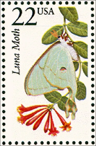 Ce bel animal à plumes, fier chanteur, et emblème d'un si beau pays, orne les vêtements d'une marque de sport. Il s'agit... ?