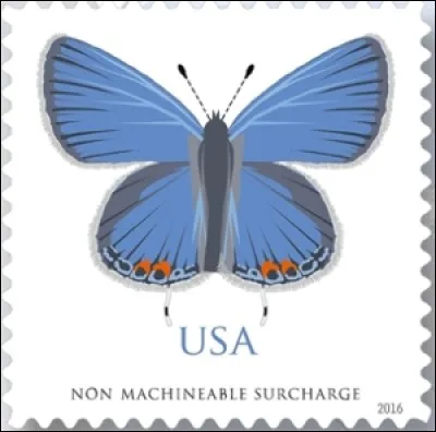 Ce bel animal à la belle symbolique mythologique représente une entreprise à l'objet fort sympathique, qui a connu de nombreuses mésaventures, Maxi-livres. Il s'agit... ?