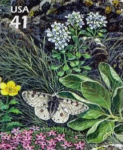 Ce bel animal souriant n'est pas sur le logo, mais dans toutes les publicités de la marque de vêtements simples et rigolos Naf Naf. Il s'agit... ?