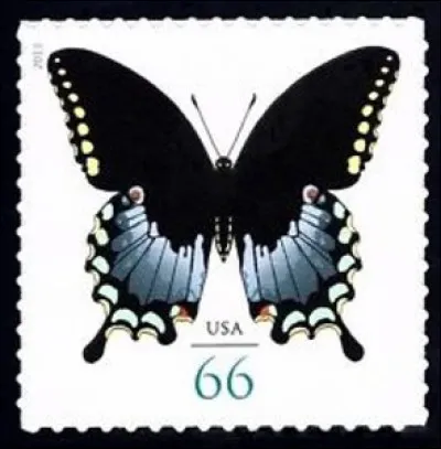 Ce bel animal à la silhouette fine, qui inspire autant l'admiration que la crainte, tient la place d'honneur sur l'avant de voitures anglaises élégantes et luxueuses. Il s'agit... ?