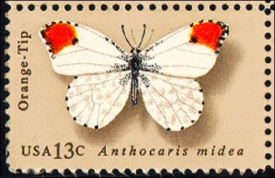 Ce bel animal qui a une vie sociale très riche est représenté sur une marque de boisson originaire d'Asie qui plaît beaucoup aux anglais. Il s'agit de... ?