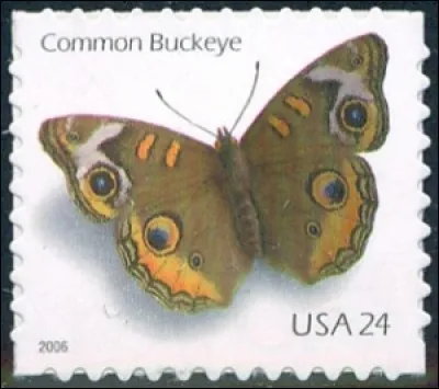 Ce bel animal, qui se rencontre aussi dans les contes, est l'emblème de la marque de parfum Vanderbilt, et de ses autres produits. Il s'agit... ?