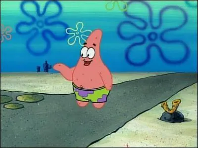 De quelle forme est la maison de Patrick ?