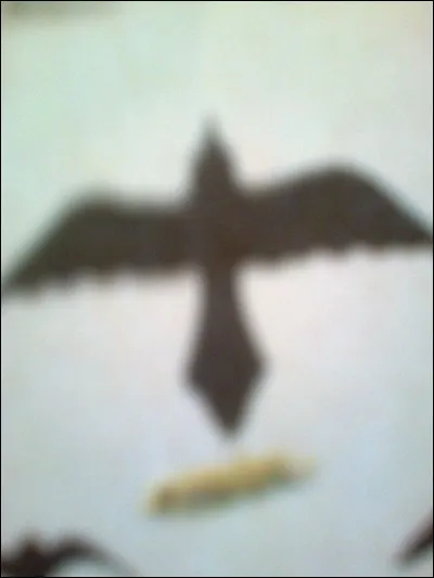 À quel oiseau attribue-t-on ce vol ?