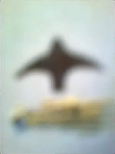 À quel oiseau attribue-t-on ce vol ?