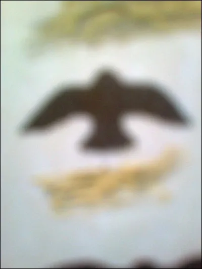 À quel oiseau attribue-t-on ce vol ?