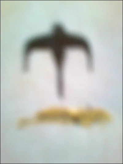 À quel oiseau attribue-t-on ce vol ?