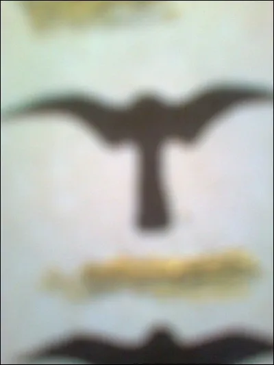 À quel oiseau attribue-t-on ce vol ?