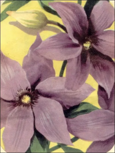 C'est la MAR du papier mauve...