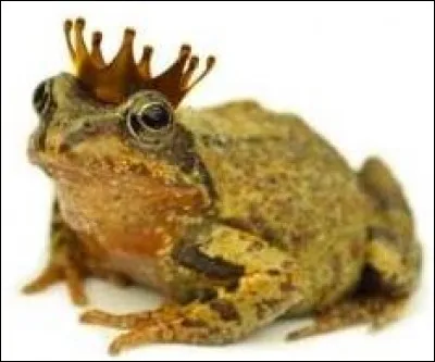 C'est la MAR de l'espoir...