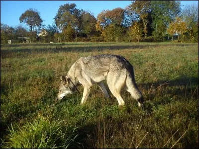 L'addition 21 + 35 donne comme nom de département...