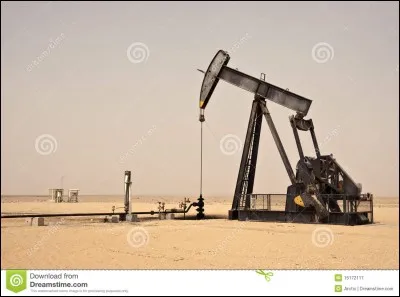Votre richesse vient peut-être d'exploitations pétrolières. Comment surnomme-t-on le produit qu'elles extraient ?