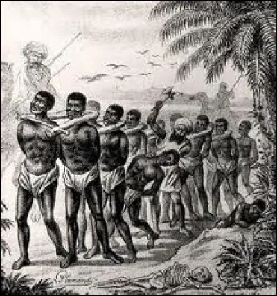 Si votre fortune a été amassée grâce à la traite des esclaves c'est qu'un de vos ancêtres était négrier. Quelle sorte de commerce pratiquait-il ?