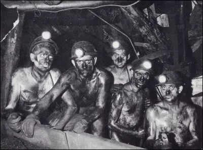 Heureusement, une branche de votre famille au sens moral plus développé, a investi dans les mines de charbon du nord de la France. Dans quel roman d'Émile Zola est-il question des mineurs ?