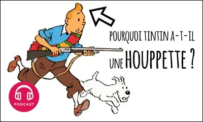 Il y a longtemps, Tintin n'avait pas de houppette sur la tête. Depuis quand l'a-t-il attrapée et à quelle occasion ?