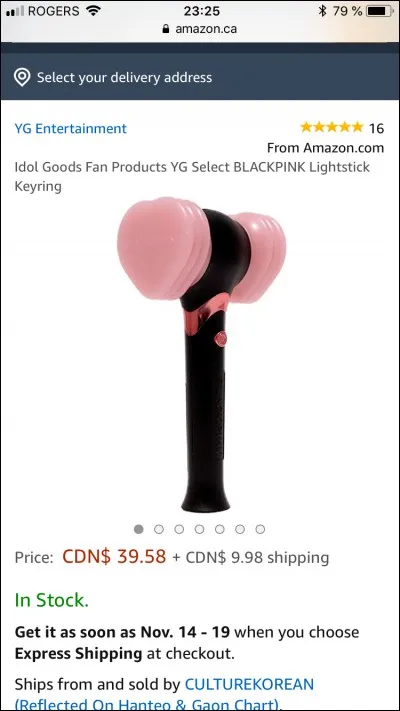 Comment s'appelle leurs fans ?