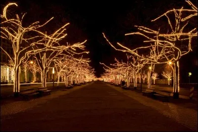 On voit un boulevard de la capitale, bordé d'arbres illuminés : ces arbres qui bordent les allées, sont ornés de petites lumières. Il y a les marchés : sur l'une des plus belles places, la Konzerthaus, les cathédrales françaises et allemandes revêtent des habits de lumière traditionnels et donnent vie à la vieille ville de Spandau. Ailleurs, l'esprit de Noël s'incarne dans une crèche vivante.