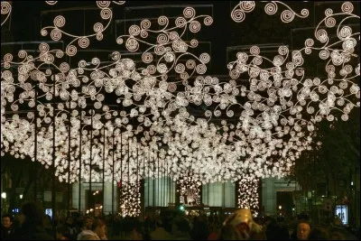 Les rues de la capitale sont décorées de guirlandes de Noël conçues par des dizaines de célèbres créateurs de mode et par des architectes. Les lumières répondent à des normes pour l'environnement et l'efficacité énergétique : elles éclairent plus en consommant moins d'énergie.
On retrouve aussi de grands sapins lumineux à la Plaza Mayor, à la Puerta del Sol, sur les places de Colón et de Callao.