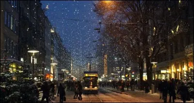 Les gens magasinent pour acheter leurs cadeaux de Noël, dans des rues illuminées. Les lumières font en sorte qu'il neige dans ce tableau impressionniste. Cette photo parle d'elle-même.