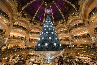 Il y a un temps de l'année où son nom de ville-lumière revêt un autre aspect : si vous voulez être saisi de cette magie, partez de l'Arc de Triomphe et descendez l'avenue des Champs-Elysées pour profiter des merveilleux décors des platanes et des vitrines.
Plus bas, au niveau de la place de la Concorde, la Grande Roue : du haut de ses 65 m, vous aurez une vue imprenable sur une ville incomparable.