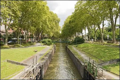 Le pluriel du mot "canal" est...