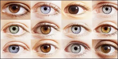 Quelles sont les couleurs de ses yeux ?