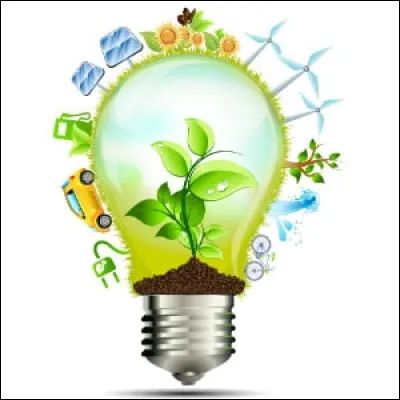 Pour toi, l'écologie c'est...