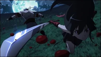 Pourquoi Akame dit-elle "Élimination" lorsqu'elle tue quelqu'un ?