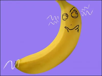 Un dimanche après-midi, quand il fait beau, qu'est-ce que tu préfères faire ?