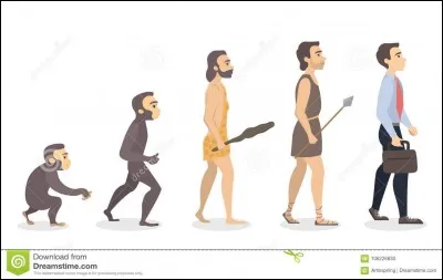 Aimes-tu l'Histoire ?