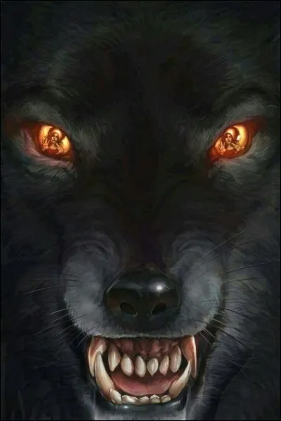 Quelle est la couleur des yeux d'un Bêta ?