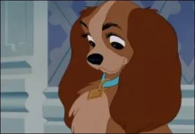 Comment s'appelle cette chienne ?