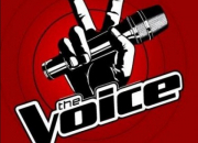 Quiz The Voice