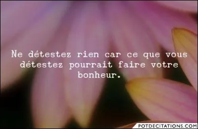 Ce que vous détestez le plus ?