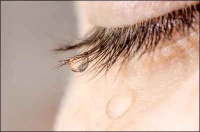 Il vous arrive de pleurer...