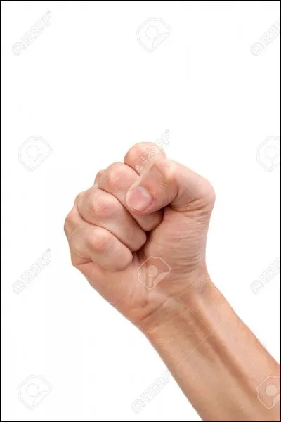 Sa devise nationale est "L'union fait la force".