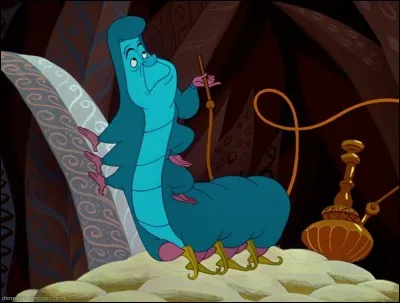 Dans quel dessin animé retrouve-t-on cette chenille, fumeuse de pipe ?