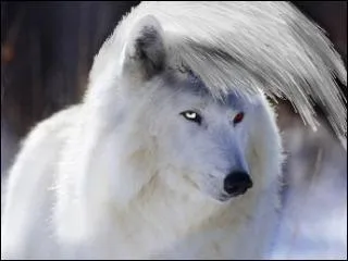 Qui est reprsent sous la forme d'un chien?