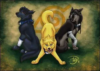 Qui sont ces ninjas reprsents sous la forme de loups?