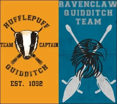Qui sont les attrapeurs de quidditch de Poufsouffle et Serdaigle ?
